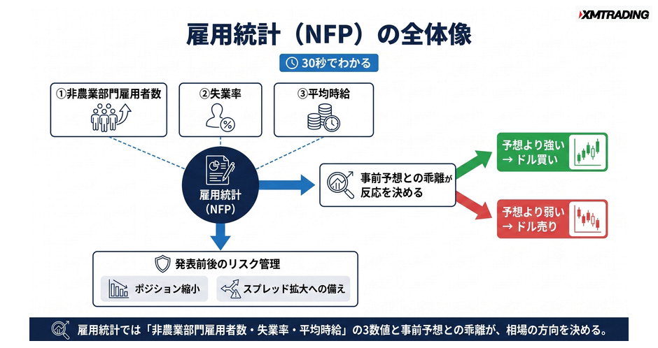 c4-a4-01-concept-nfp-overview